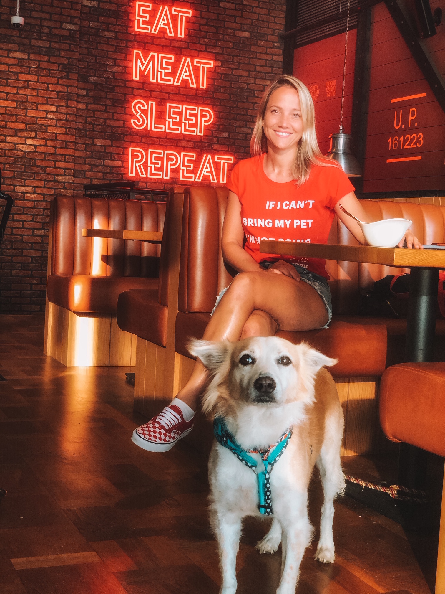 The Top 5 indoor petfriendly cafes & restaurants Flopster